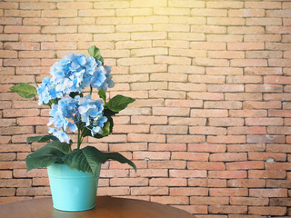 Blue hydrangea flower pot decoration on the table with the brown brick wall