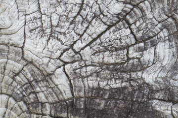 Pattern on wood for background