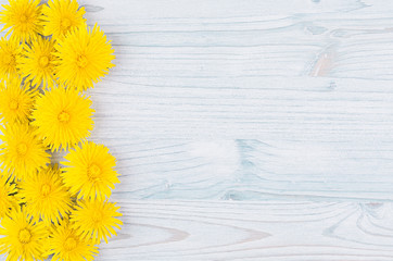 Yellow dandelion flowers as decorative border on light blue wooden board. Copy space, top view. © finepoints