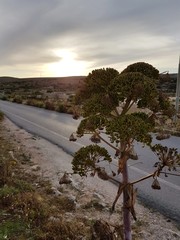 Zach&oacute;d słońca