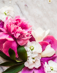 pink and white flowers on marble background