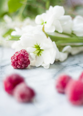 raspberries and white flowers