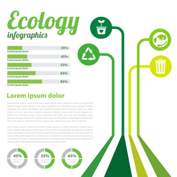 ecology infographic