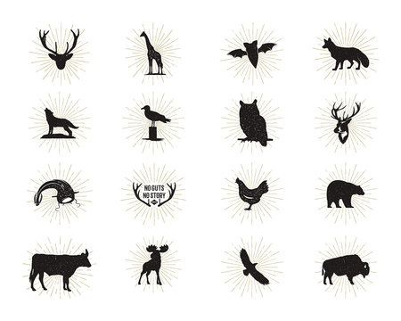 Set of wild animal figures and shapes with sunbursts isolated on white background. Black silhouettes wolf, deer, moose, bison, eagle, seagull, cow, and owl. Animals shapes bundle. Vector