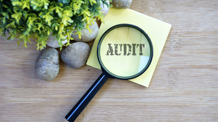 Ornamental trees, stones Small, magnifying glass, sticky note with text audit