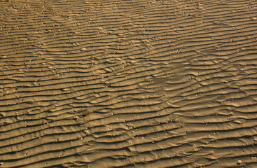 Sand wave background on the beach