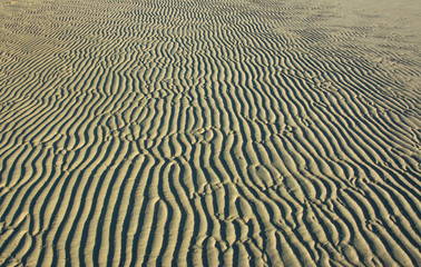 Sand wave background on the beach