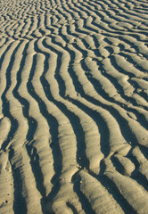 Sand wave background on the beach