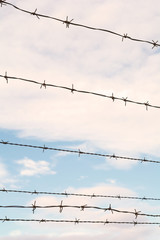 Barbed wire against blue sky.