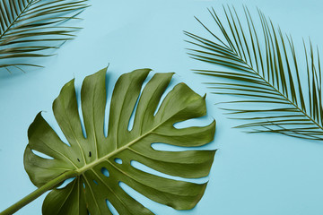 Green leaves isolated