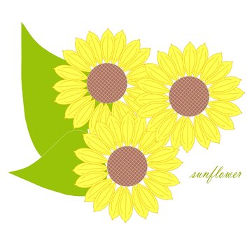 Yellow sunflowers, green leafs for decorated on white stock vector illustration