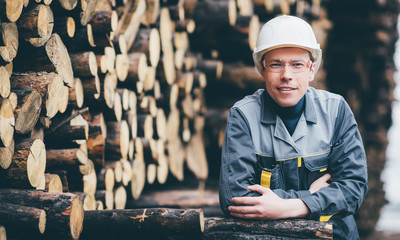 wood worker storage