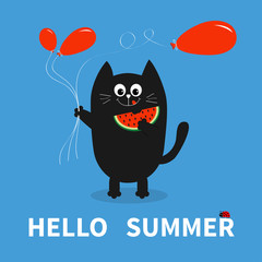 Hello summer. Black cat holding red balloon, watermelon. Ladybug insect. Cute cartoon character. Greeting card. Funny pet animal collection. Flat design. Blue background.