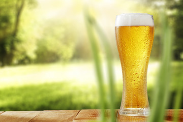 cold beer 