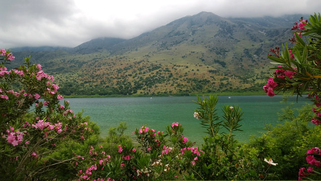 Beautiful views of lake Kournas, Crete (Greece) through the lush foliage of flowering shrubs in bright cloudy spring weather