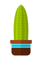 Cactus, succulent. Flat color icon, illustration of potted plant isolated on white background. Object for design