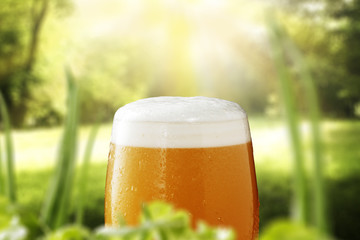 cold beer 