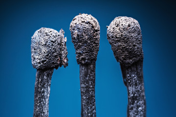 Burnt out safety matches. Blue background.