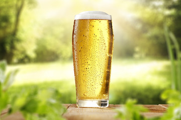 beer and garden space 