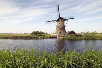 Fototapeta premium kinderdijk