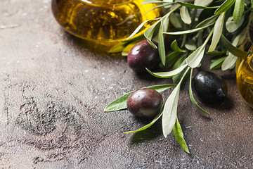 Olives on branch with leaves