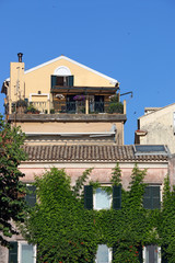 Fototapeta premium wall of an old house covered with foliage of liana Corfu town Greece