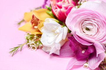 Close-up view of beautiful fresh blooming flowers isolated on pink