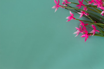 Pink flowers made of artificial material. Neutral green background.