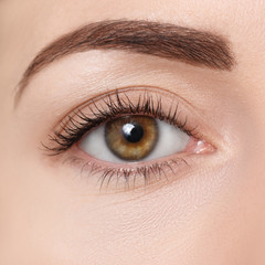 closeup of brown eye