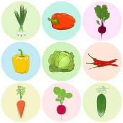 Round Colored Icons Vegetables, Fresh Cucumber, Green Onion and Beetroot, Orange and Yellow Sweet Pepper, Icons Radish and Hot Chile Pepper, Carrot with White Cabbage, Vector Illustration