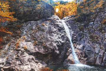Waterfall in the forest in the national park of Seoraksan, beautiful bright landscape