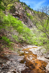 Mountain river in the national park of Seoraksan, beautiful bright landscape