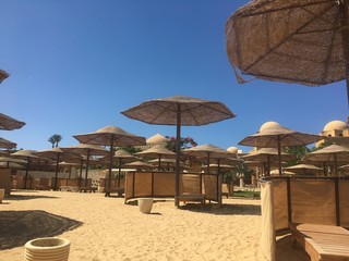 sun seekers paradise