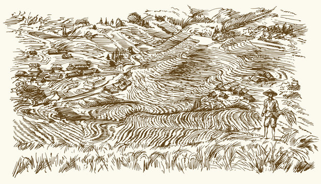 Rice terraces of Longsheng. Hand drawn illustration.