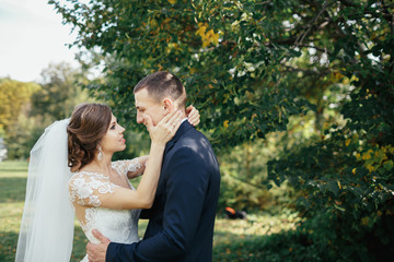 The charming brides embracing in the park