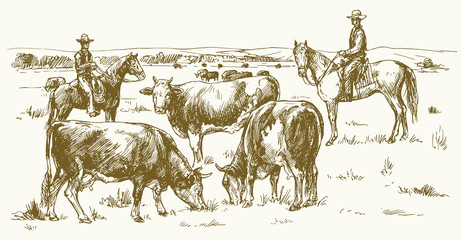 Cattle drive by two cowboys. Cows grazing on pasture. Vector illustration.