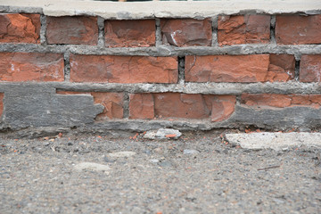 The background is an old brick wall painted with brown paint, influenced by time and natural conditions