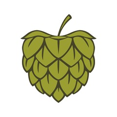 Icon hop herb plant. Vector illustration isolated