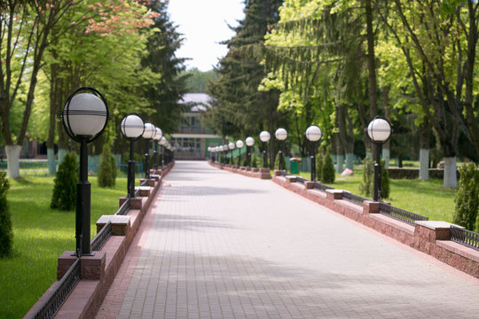 Fototapeta Green city park in sunny summer day