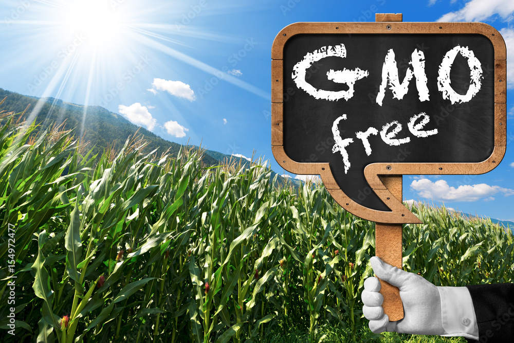 Poster sign in the shape of a speech bubble with text gmo free on a corn field