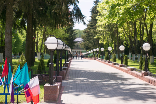 Fototapeta Green city park in sunny summer day