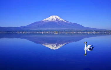 Photo sur Plexiglas Cygne 逆さ富士と白鳥