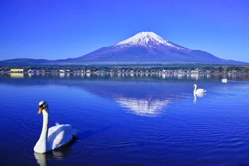 Papier Peint photo Lavable Cygne Fuji et Swan à l& 39 envers