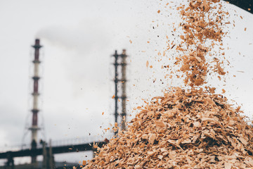raw material at paper mill factory