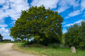 Walking trips around the medieval castle Suscinio, Morbihan, Brittany, Europe