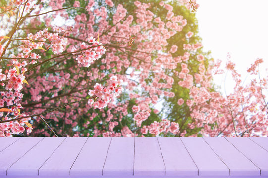 Empty wooden table with Sakura flower and sunlight background, use for product display.