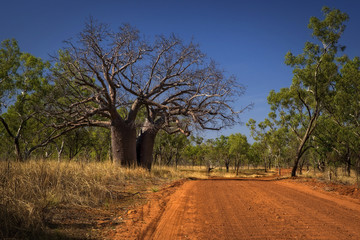 Fototapeta na wymiar Outback Track at the Kimberleys - Western Australia
