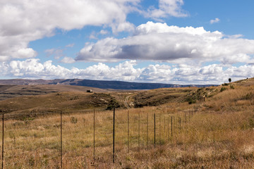 Golden Cold Dry Winter Landscape and Rocky Mountain