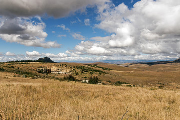 Golden Cold Dry Winter Landscape and Rocky Mountain