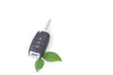 green leaf with car key 